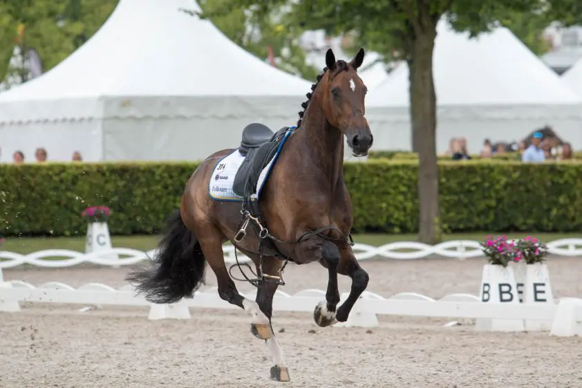 Nachtmerrie voor Juliette Ramel, Buriel K.H. breekt los bij controle featured image