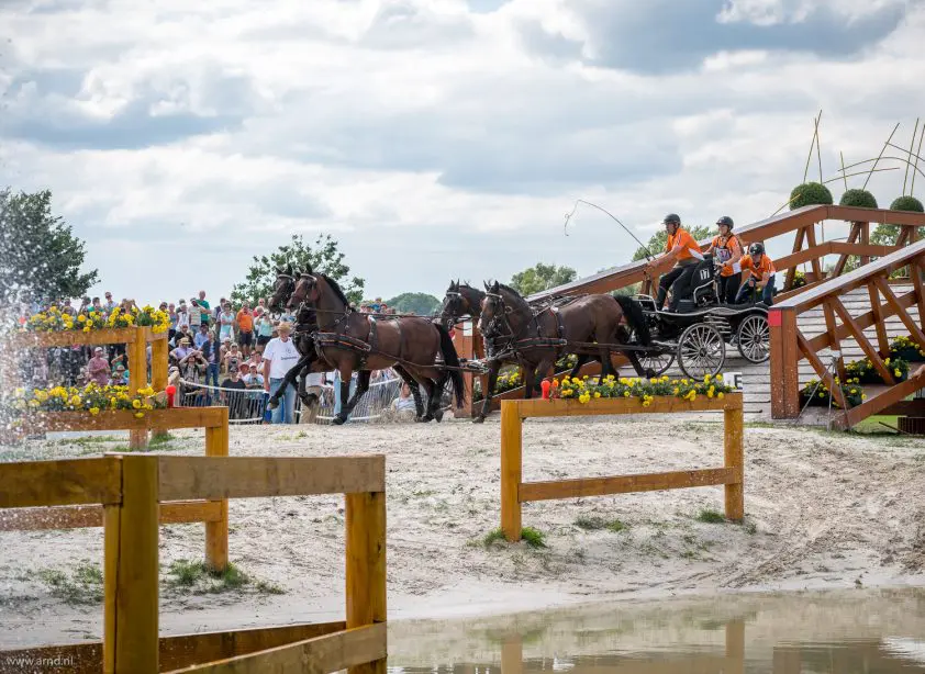 Nederlandse menners winnen Aken voor de tiende keer featured image