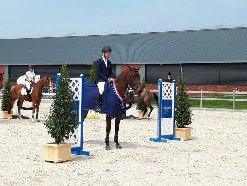Hendrix Competitie: Veel kwaliteit bij vierjarigen, twee Hendrix-paarden vooraan featured image