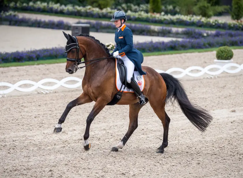 Margo Timmermans op dreef in Nijkerk featured image