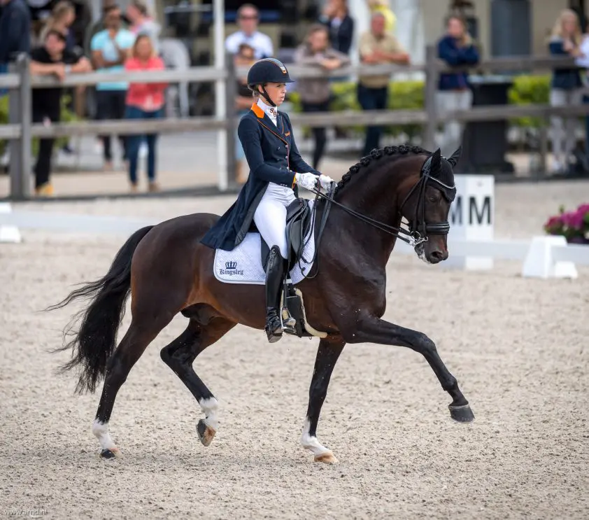 Brouwer en Ferdeaux verzekeren zich van Jumping Amsterdam deelname featured image