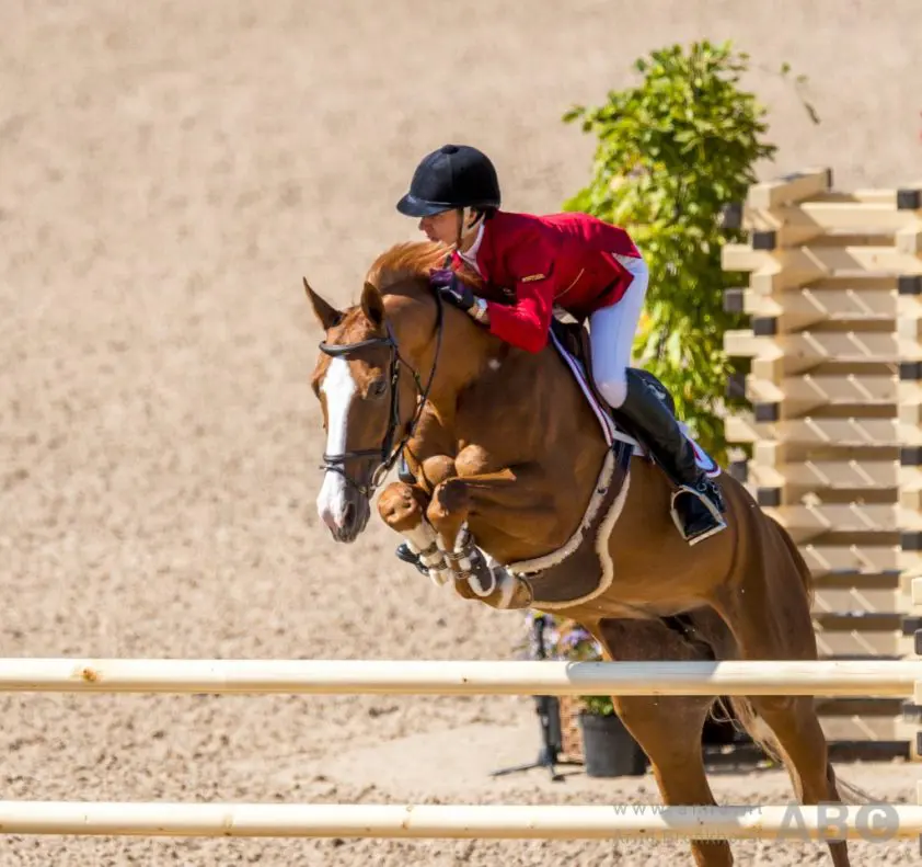 Luciana Diniz’ masterclass met Anky naar Nederland featured image