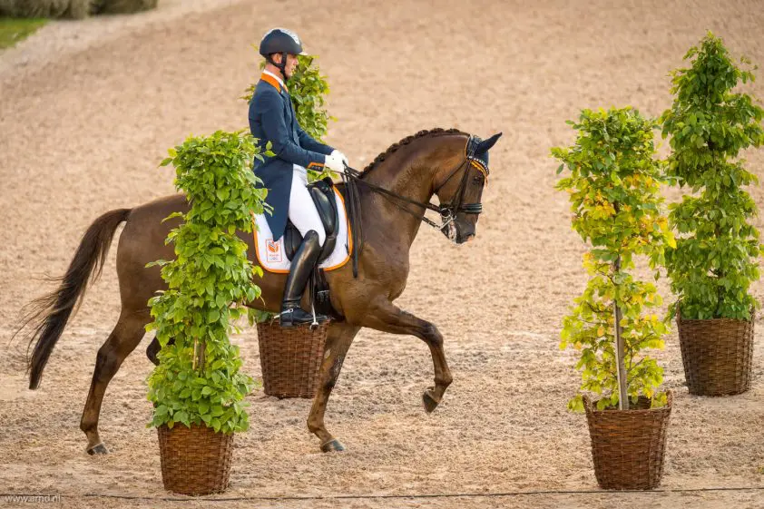 ‘Four Seasons was leeg, neem ’t ‘m eens kwalijk’ featured image