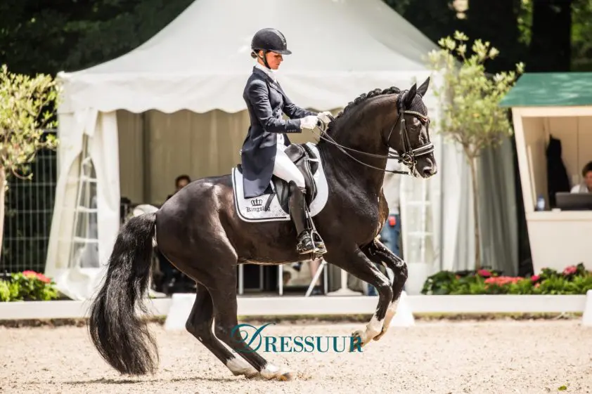 Belgisch dressuurteam voor EK Rotterdam bekend featured image