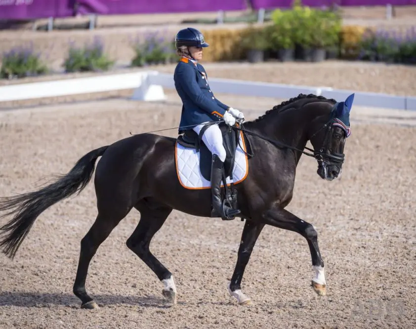 Nederlandse para-dressuurruiters tweede in landenwedstrijd Deauville featured image
