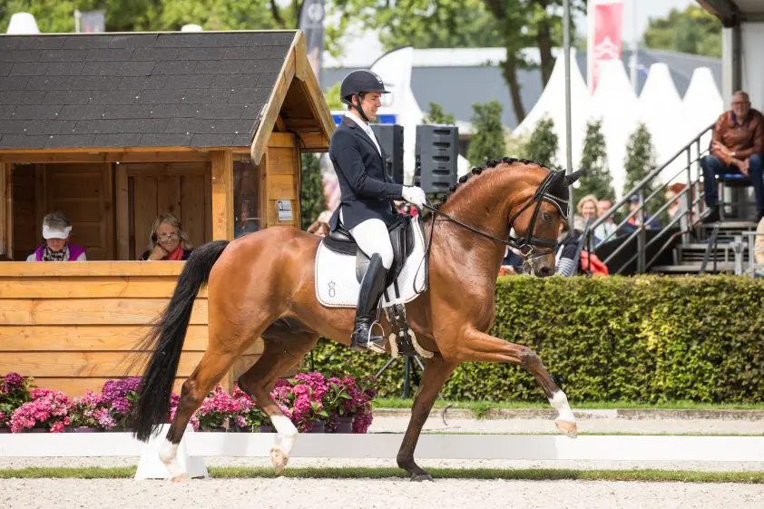 Winnend PSG-debuut voor Anna Zibrandtsen en Quel Filou featured image