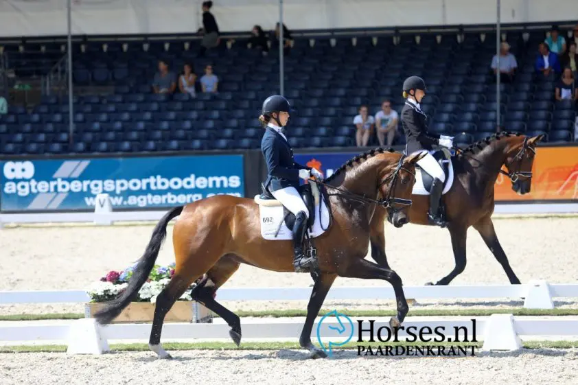 Dressuuramazone Marlou de Ruyter zwanger featured image