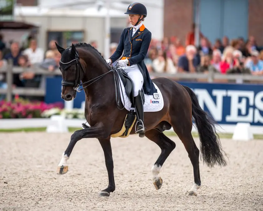 Kirsten Brouwer stopt met rijden Ferdeaux featured image