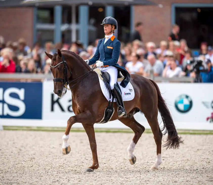 Cornelissen en Fleau de Baian naar winst bij internationaal LT-debuut featured image