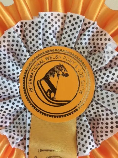 Cobs domineren Nederlandse editie International Welsh Show featured image