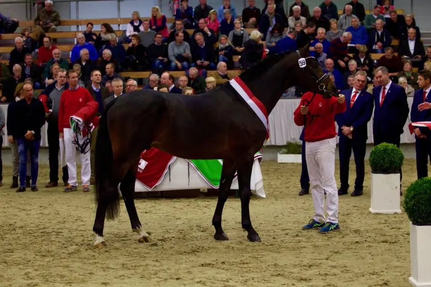 Diamant de Semilly-zoon Dembelé L wint test met 9,15 gemiddeld featured image