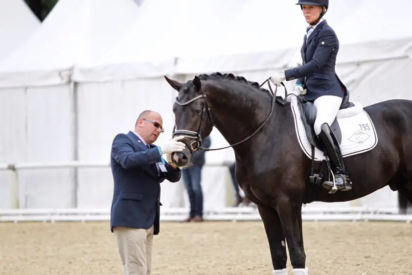 Welzijn al nadrukkelijker aanwezig in beleid KNHS featured image