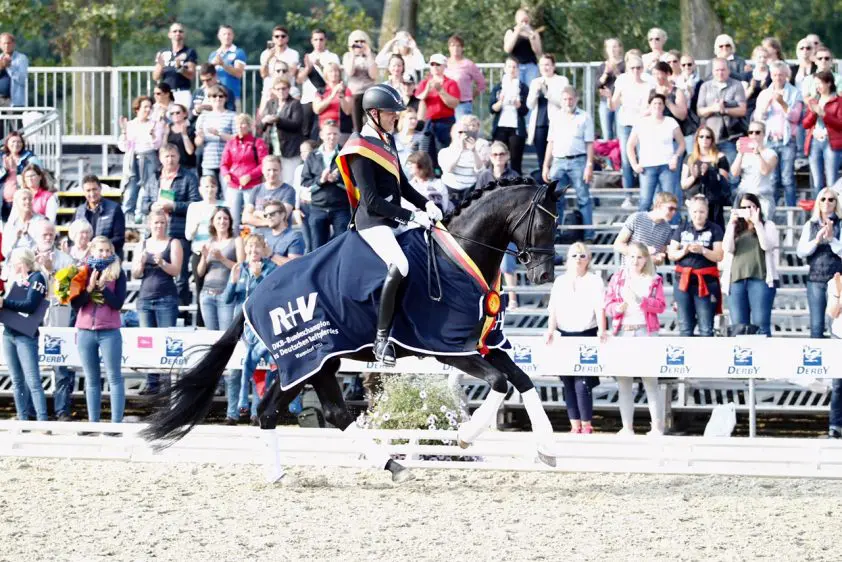 Finest Selection-dochter Primlesca H uitschieter op SK Brummen featured image