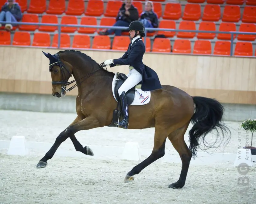 Romy van der Schaft: ‘Diva is een echte diva’ featured image