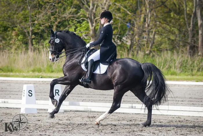 Shelby Spierenburg boekt eerste LT-zege: ‘Lieveheersbeestje op Champ heeft geluk gebracht’ featured image