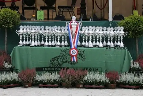 30ste editie van Indoor de Bergen is tevens de laatste featured image