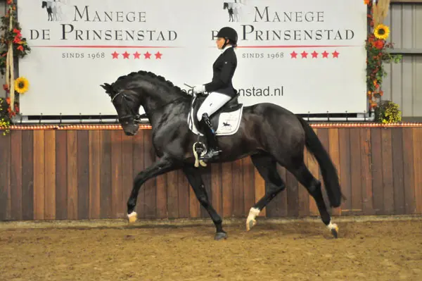 Chiara Prijs wint Kalfsbeek dressuur bokaal met Jovian featured image