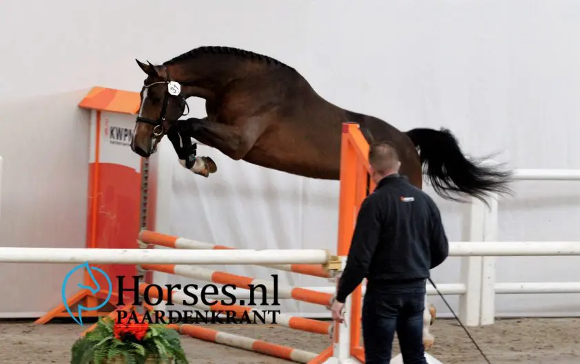 VO: Carambole van Korbeld en Cornet van Schep vrijwillig begonnen featured image