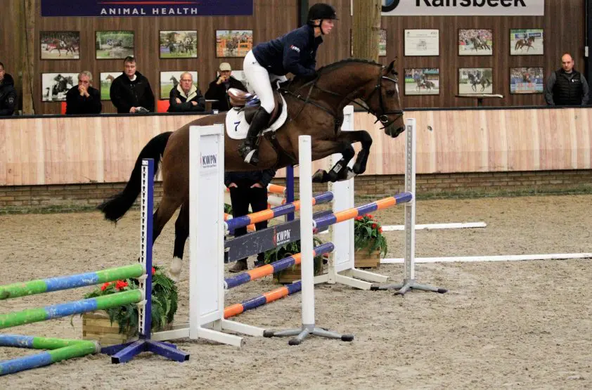 Rapporten goedgekeurde hengsten featured image