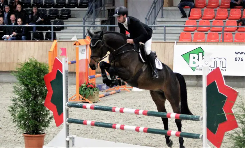 PAVO hengstencompetitie: Bart Lips en I am codex net naast podium featured image