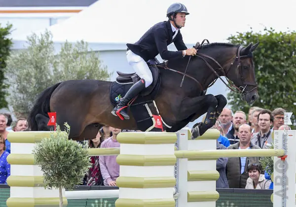 Le Blue Diamond populairste hengst bij BWP-fokkers featured image