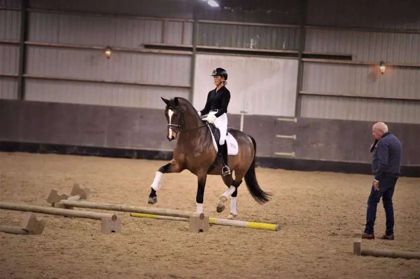 ‘Voortaan leggen we balken in de losrijring voor dressuurruiters’ featured image