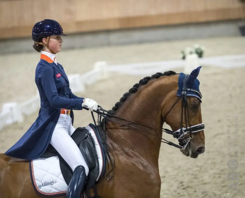 Daphne van Peperstraten wint internationaal young riders-debuut featured image