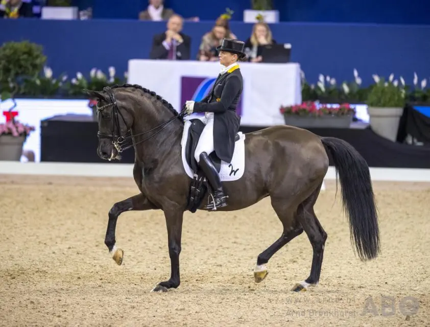 Isabell Werth wint met overmacht Grand Prix in Amsterdam featured image