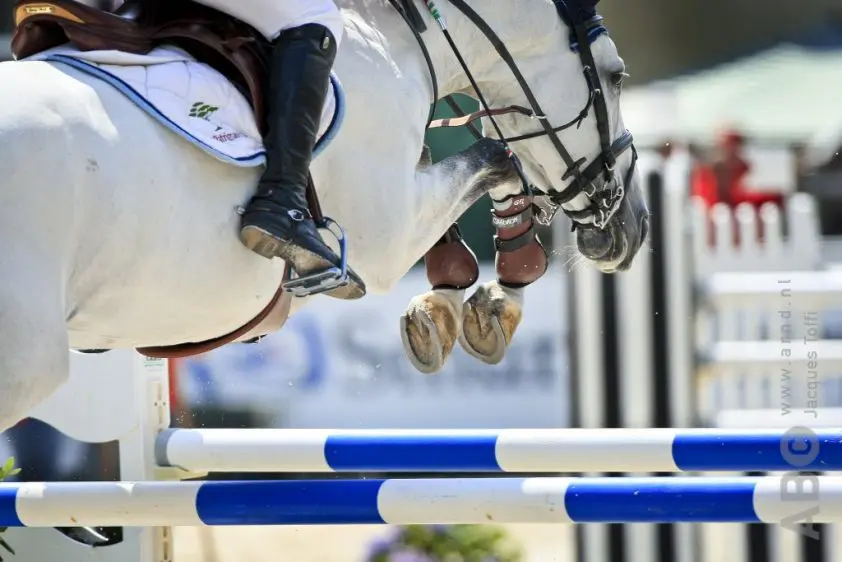 Ruim negentig vijfjarigen foutloos in eerste kwalificatie Lanaken featured image