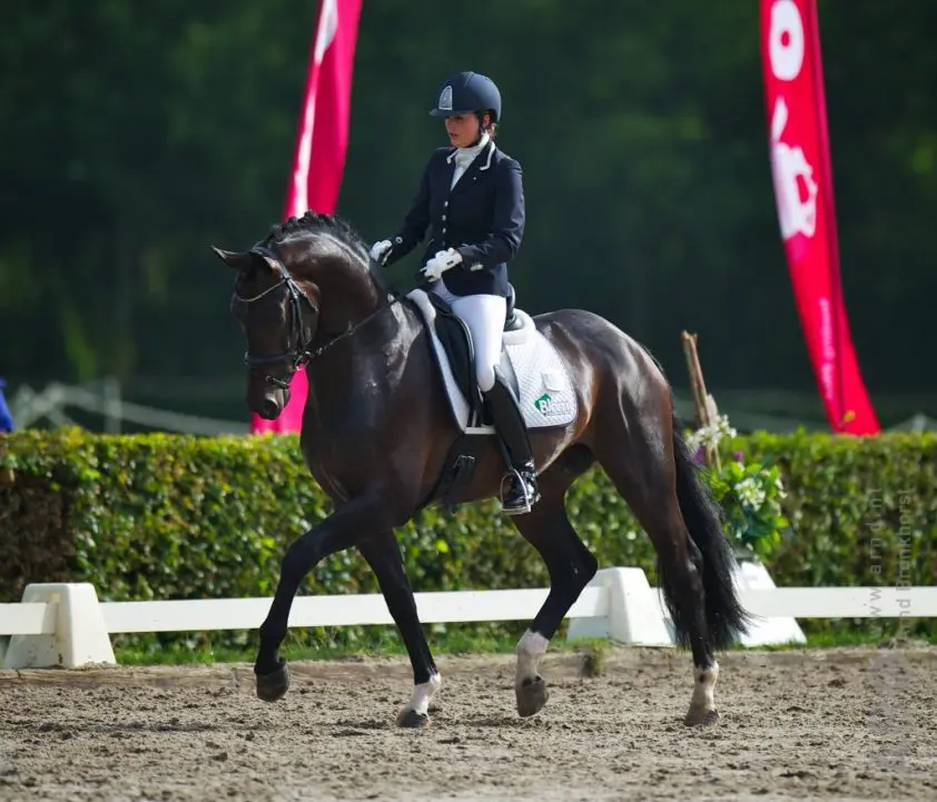Connaisseur maakt internationaal Lichte Tour debuut featured image