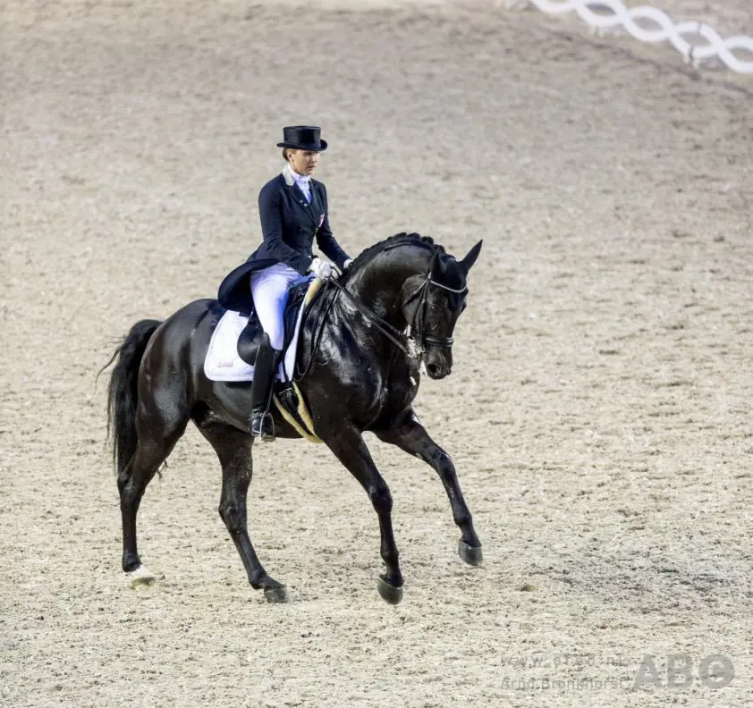 Opnieuw Grand Prix-paard naar Japan featured image