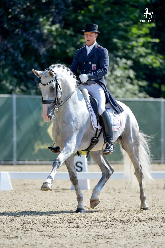 Lusitano hengst Dragao toegelaten bij Oldenburger Verband featured image
