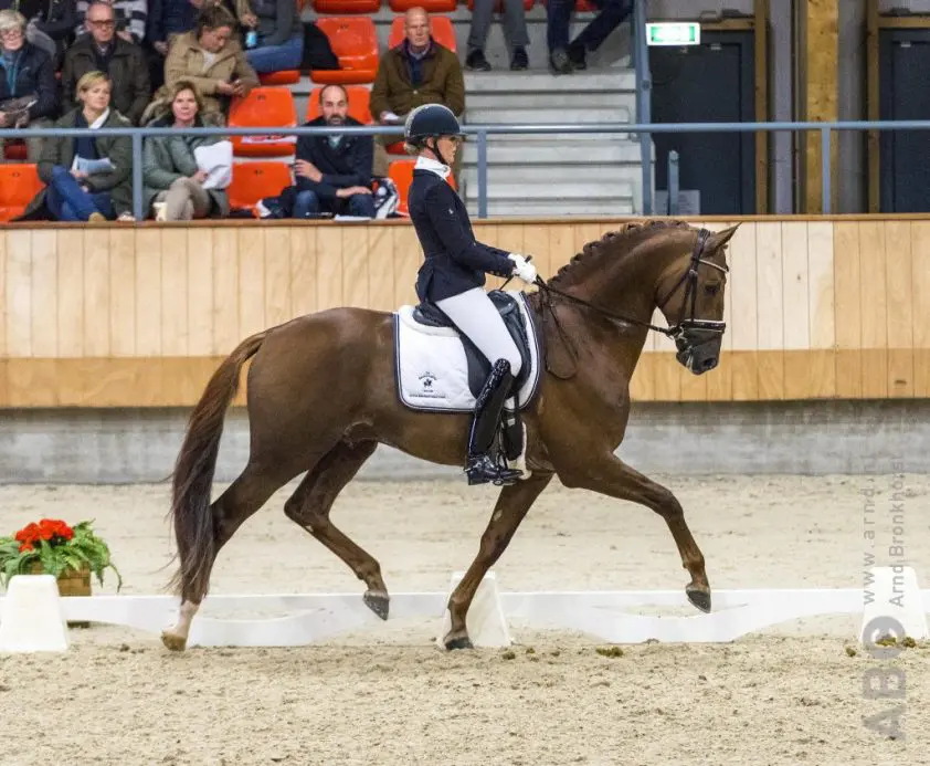 Joyce Lenaerts ziet af van WK-traject met KWPN-hengst Iconic B featured image