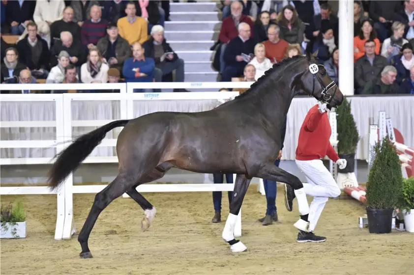 Farrell-zoon Blue Hors Zippo naar De IJzeren Man featured image