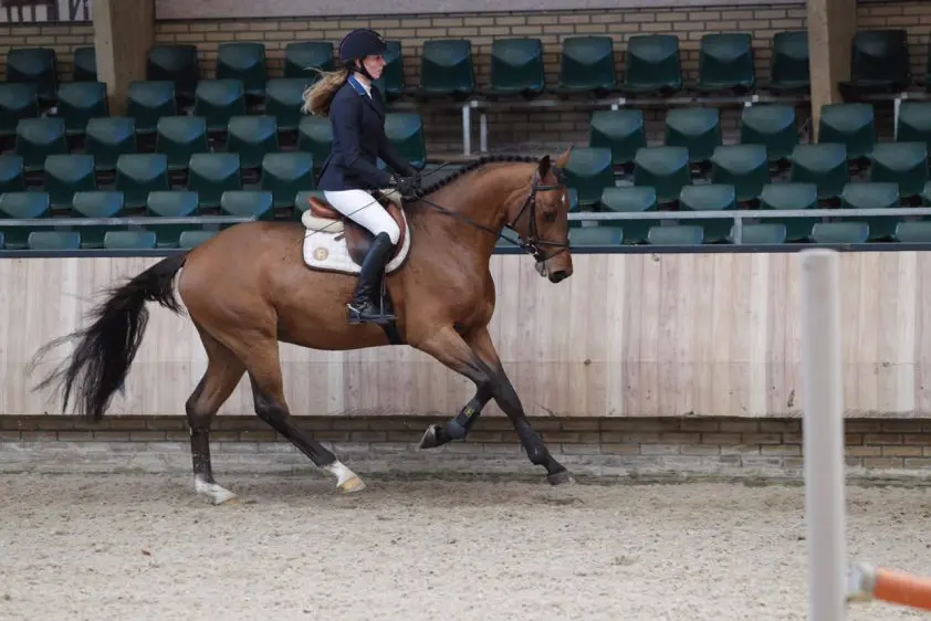 Column Jacquelien van Tartwijk: Achterhaald featured image