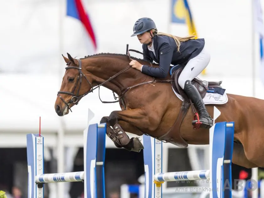 Team NL doet goede zaken in Parijs featured image
