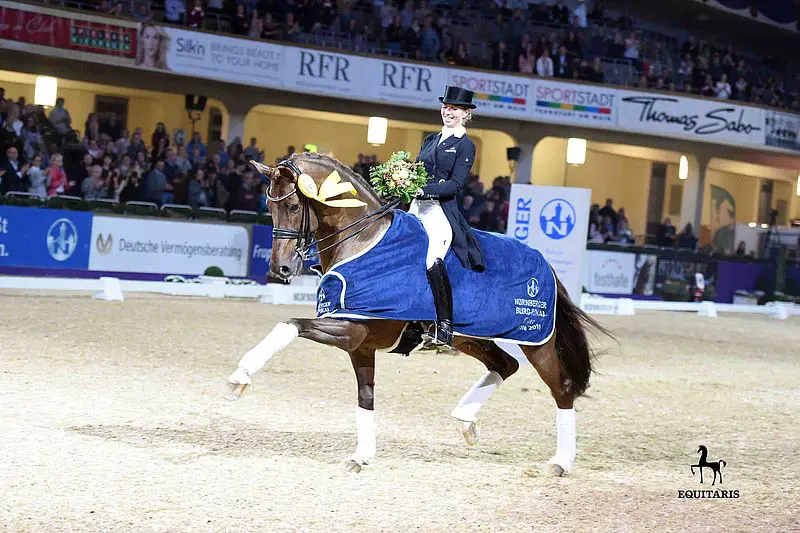 Vitalis erkend bij Deens warmbloed featured image