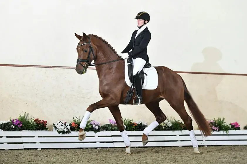 Fürst Jazz en Sensation in laatste sporttest Münster-Handorf featured image