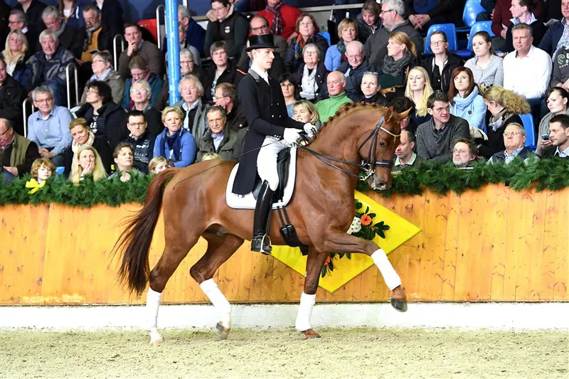 Daniel Bachmann Andersen verslaat Hubertus Schmidt in Louisdor-Prijs featured image