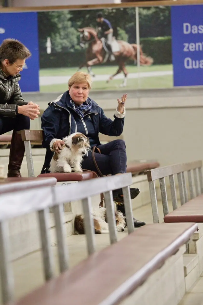 Oostenrijkse bond over structuur en stemmingen FEI: ‘Dit heeft niets te maken met democratie’ featured image