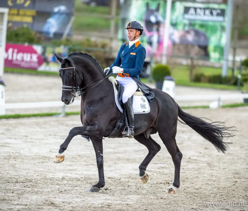 Stal Brinkman gaat dressuurhengsten op WFFS testen featured image