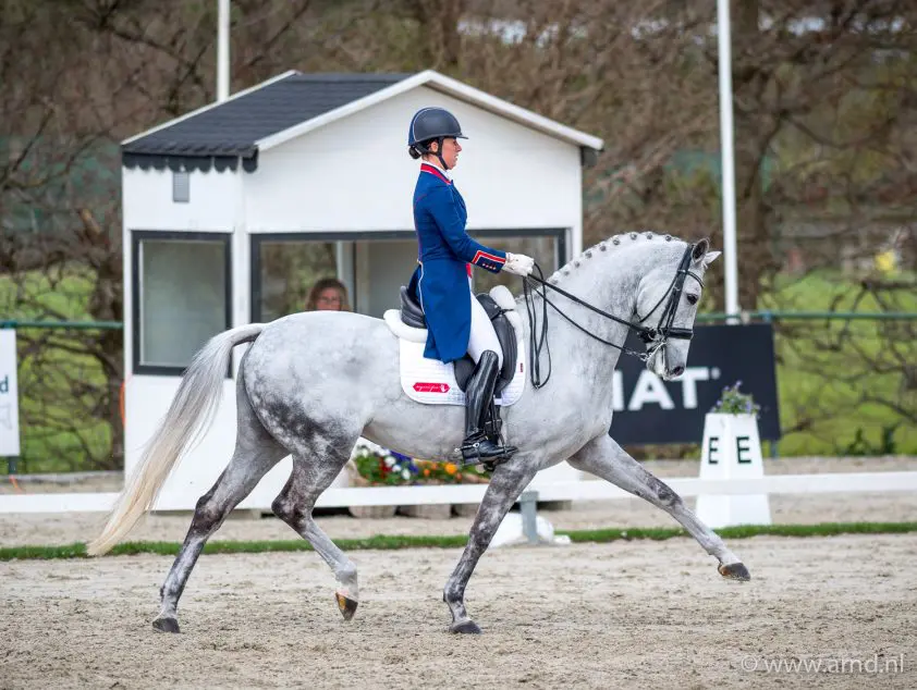 Dujardin pakt overwinning in Intermediaire I kür featured image