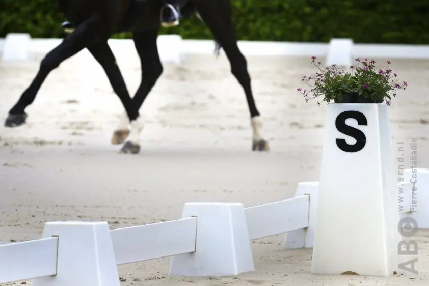 Extra rhinovoorzorgsmaatregelen voor CDIO Compiègne featured image