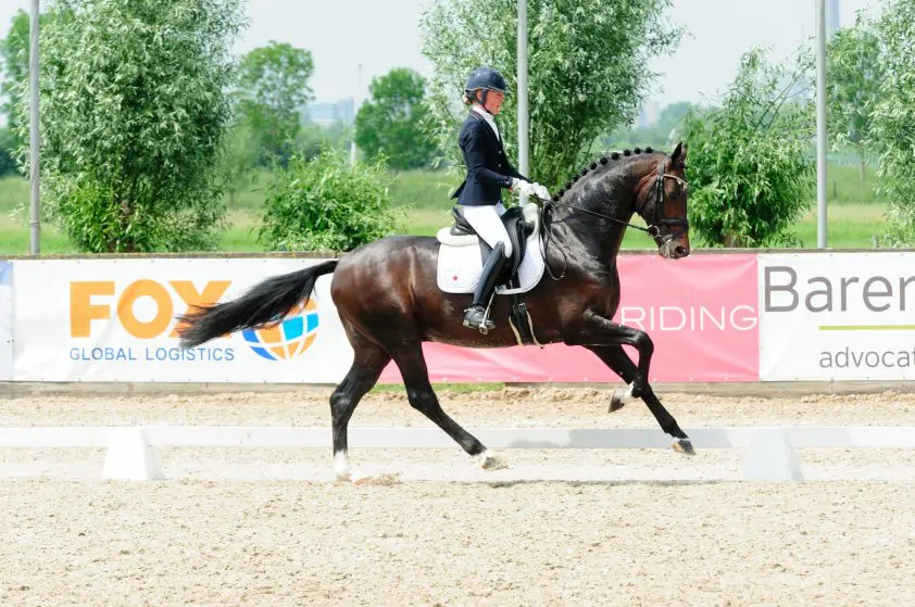 Femke de Laat en Invito aan kop bij vijfjarigen, twee Everdales volgen featured image
