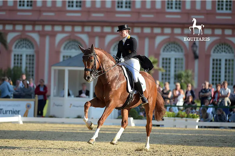 Hoge percentages voor Werth en Schneider op slotdag Wiesbaden featured image