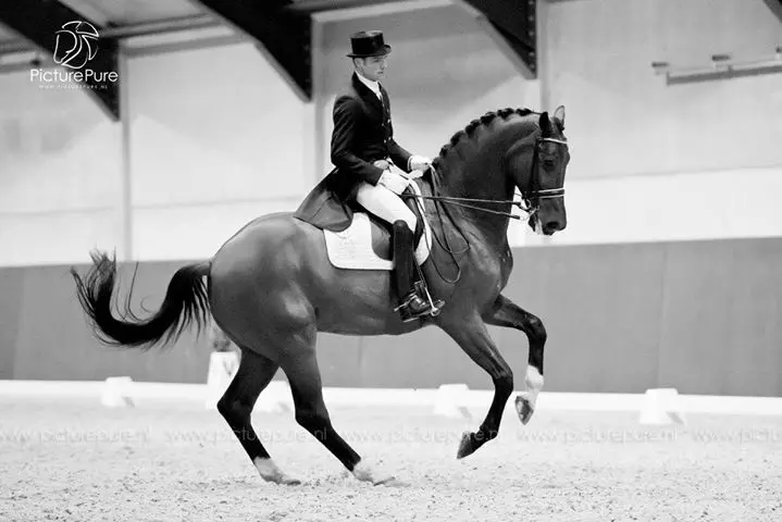 Remy Bastings: ‘Twee dagen achter elkaar pakte goed uit’ featured image