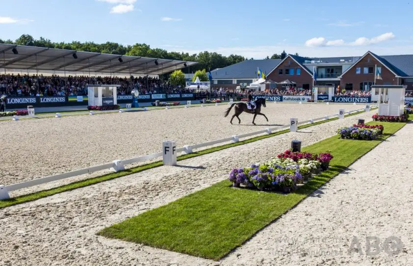 Zweedse team deelname WK Jonge Dressuurpaarden bekend featured image