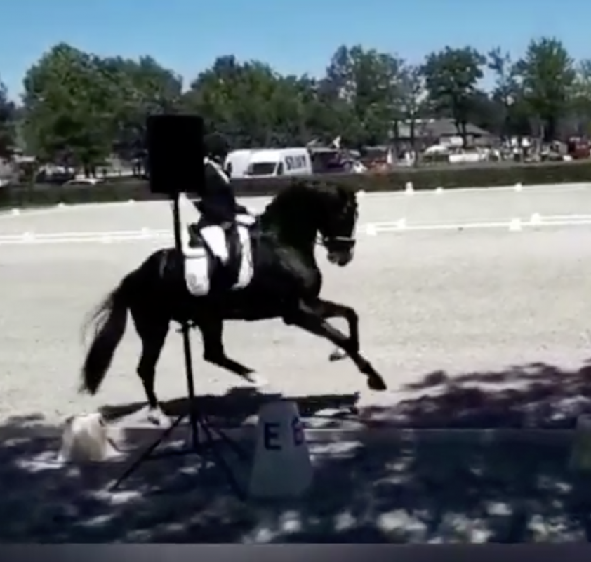 VIDEO: 85 punten voor keuringskampioen Jameson RS2 featured image