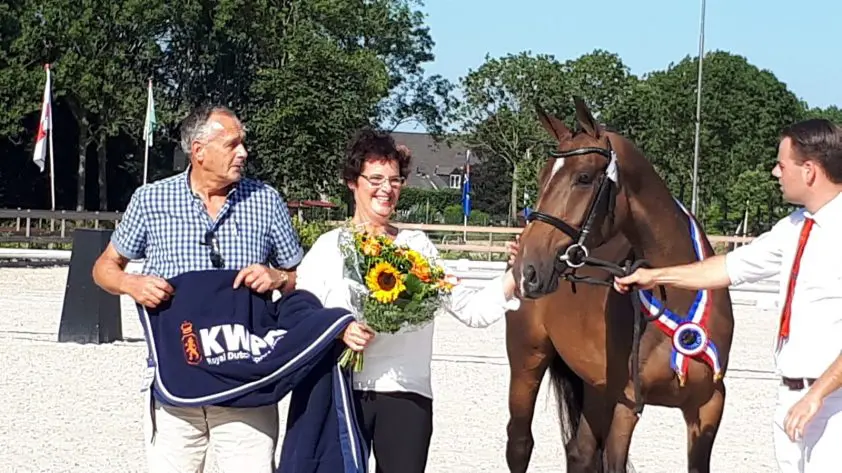 CK Utrecht: Uitzonderlijke groep driejarige springmerries featured image