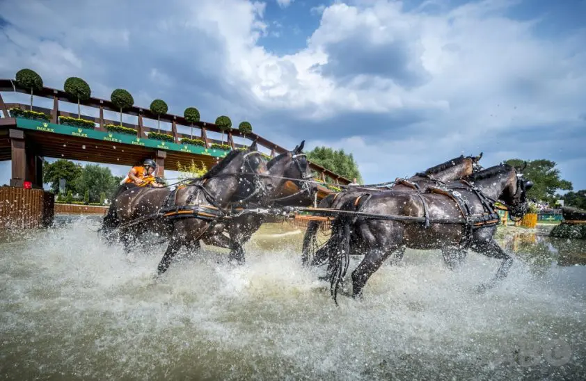Medailleslapstick eindigt voorlopig in zilver voor Oranje featured image